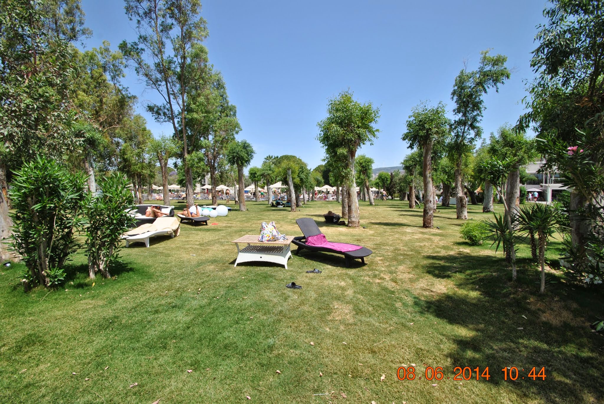 imagini hotel AURUM DIDIM